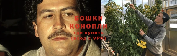 сатива Пестово