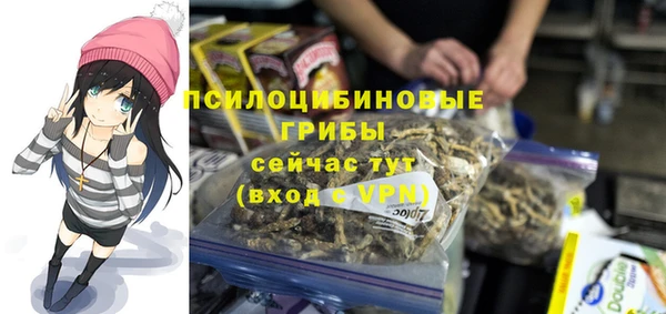 мескалин Переславль-Залесский