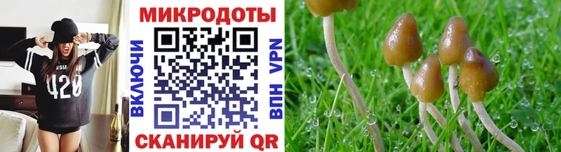 Галлюциногенные грибы MAGIC MUSHROOMS  МЕГА ТОР  Шиханы 