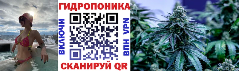Шишки марихуана гибрид  Шиханы 